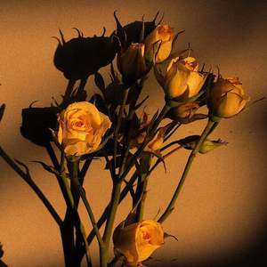 国产V亚洲V天堂宗合
